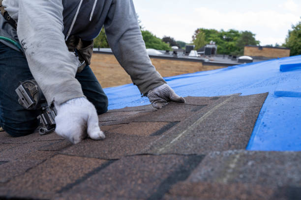 Best Storm Damage Roof Repair  in Ashton, ID