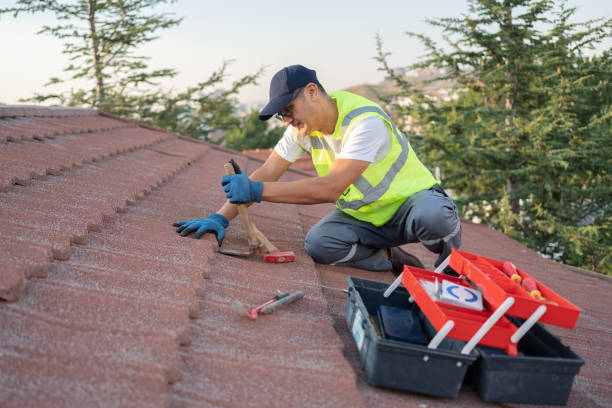 Sealant for Roof in Ashton, ID
